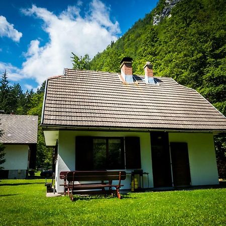 Pocitniska Hisa Radovna Villa Zgornja Radovna Ngoại thất bức ảnh