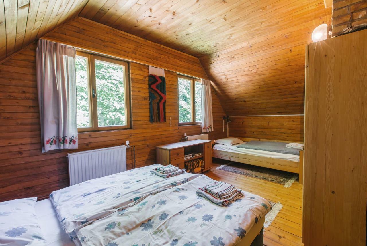 Pocitniska Hisa Radovna Villa Zgornja Radovna Ngoại thất bức ảnh