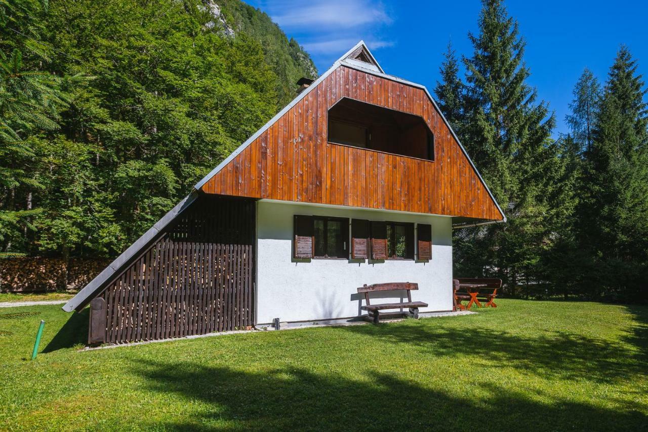 Pocitniska Hisa Radovna Villa Zgornja Radovna Ngoại thất bức ảnh