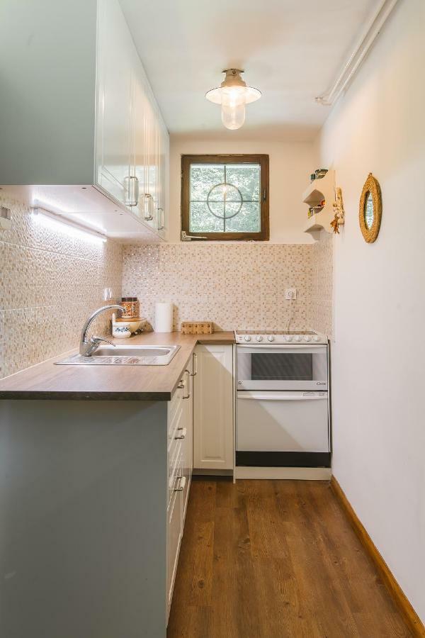 Pocitniska Hisa Radovna Villa Zgornja Radovna Ngoại thất bức ảnh