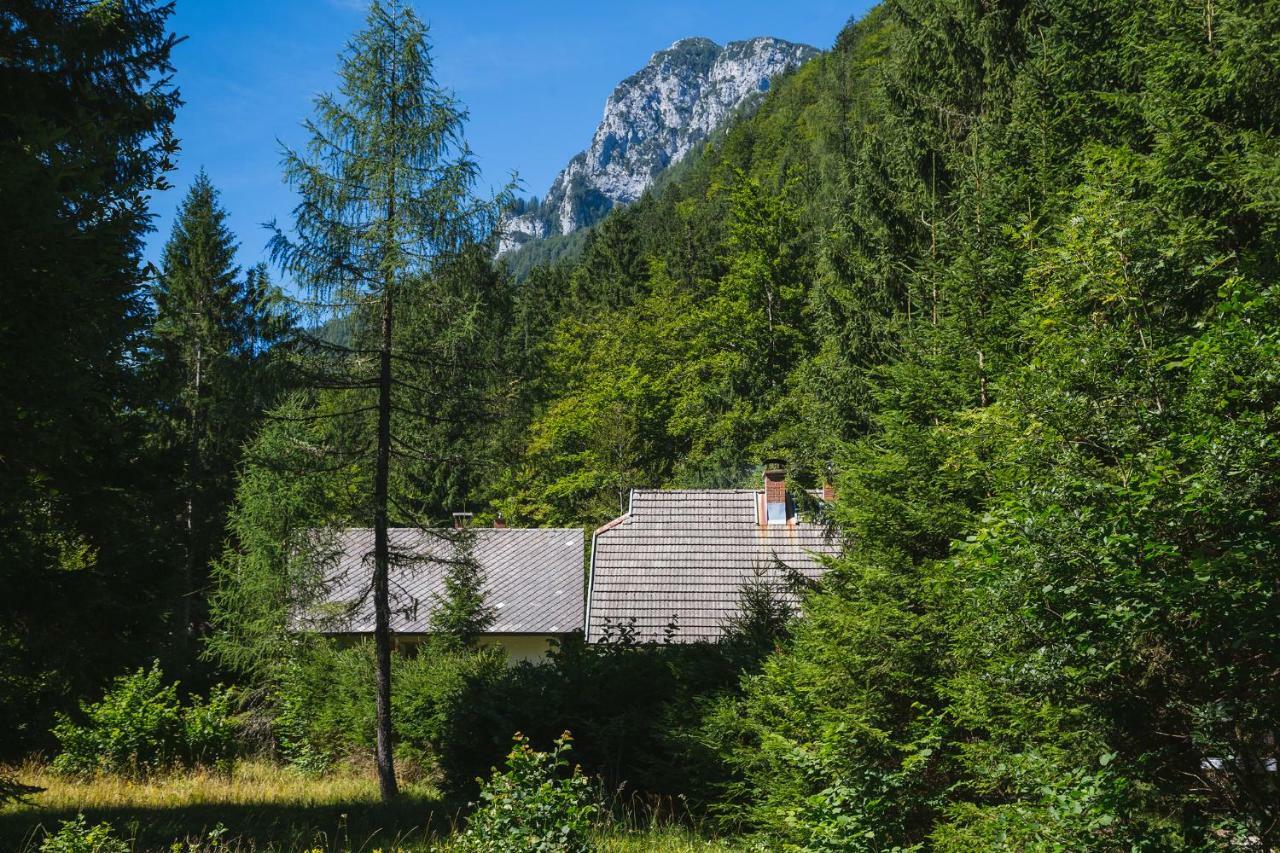 Pocitniska Hisa Radovna Villa Zgornja Radovna Ngoại thất bức ảnh