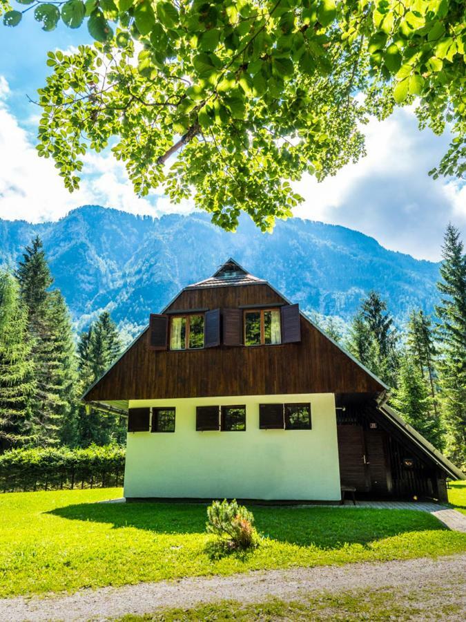 Pocitniska Hisa Radovna Villa Zgornja Radovna Ngoại thất bức ảnh