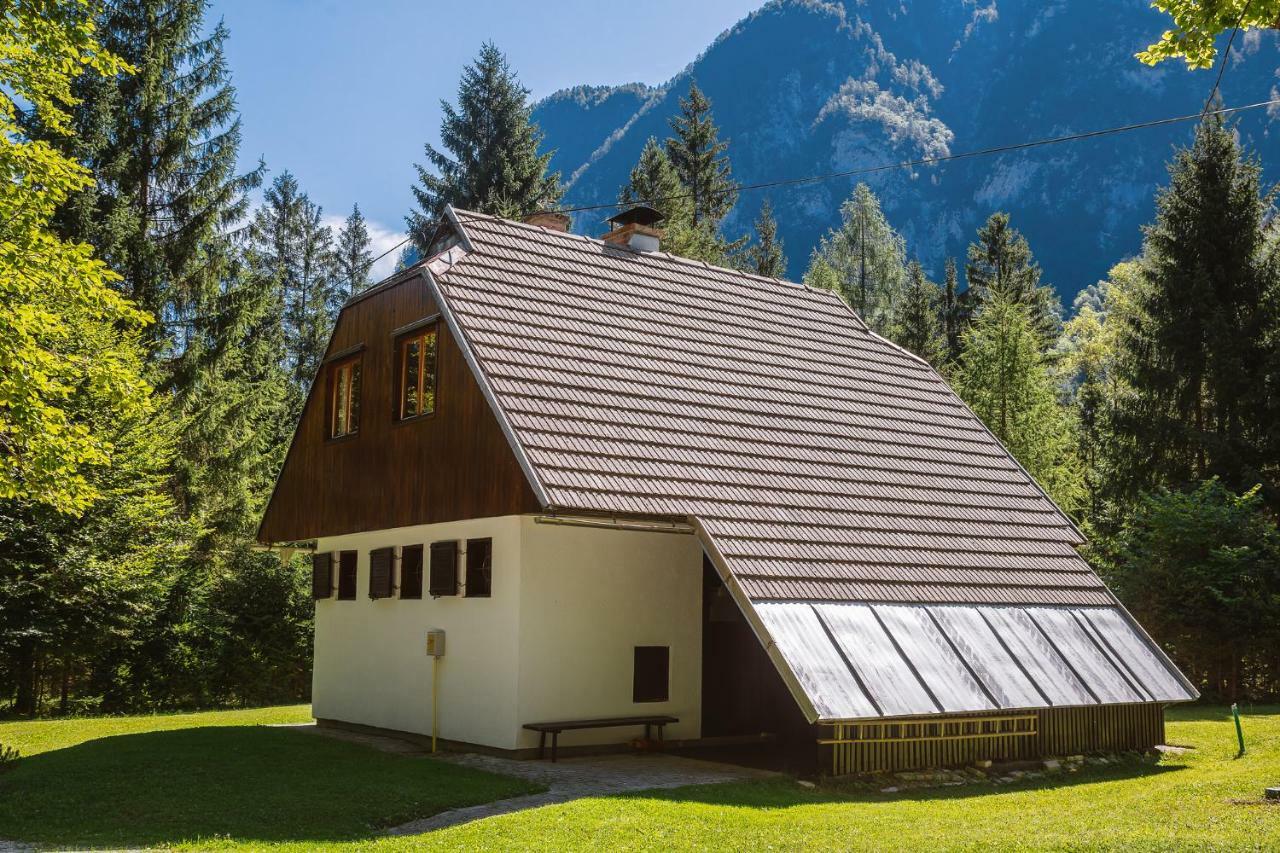 Pocitniska Hisa Radovna Villa Zgornja Radovna Ngoại thất bức ảnh